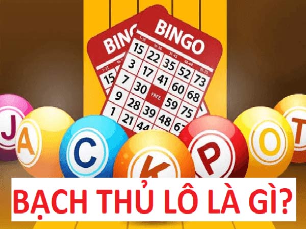 Bạch thủ lô là gì?