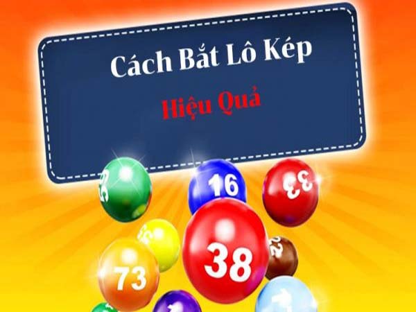 Cách bắt con kép