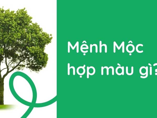 Người mệnh Mộc hợp màu gì?