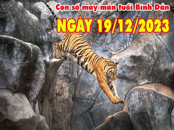 Dự đoán con số may mắn tuổi Bính Dần ngày 19/12/2023