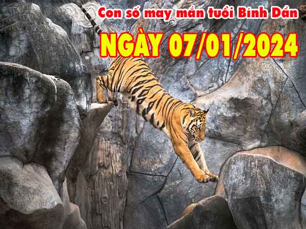 Dự đoán con số may mắn tuổi Bính Dần ngày 7/1/2024