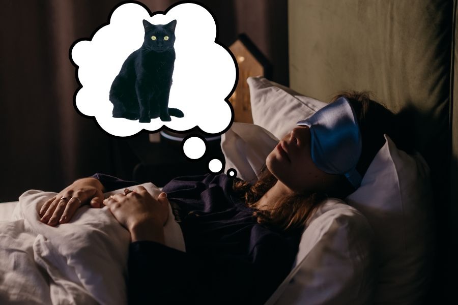 Mơ thấy mèo đen