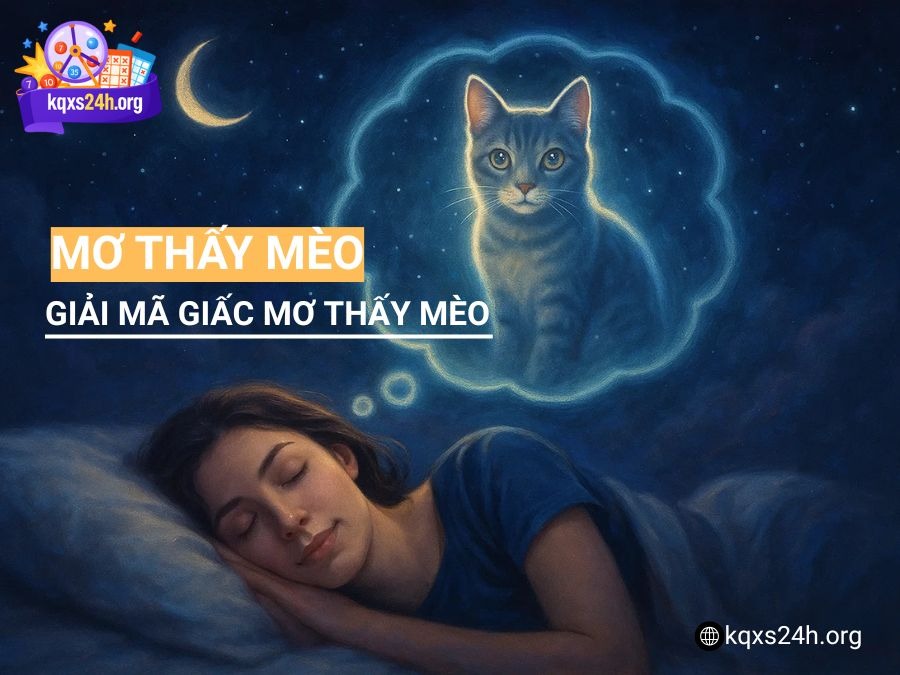 Mơ thấy mèo là điềm gì? Giải mã giấc mơ thấy mèo