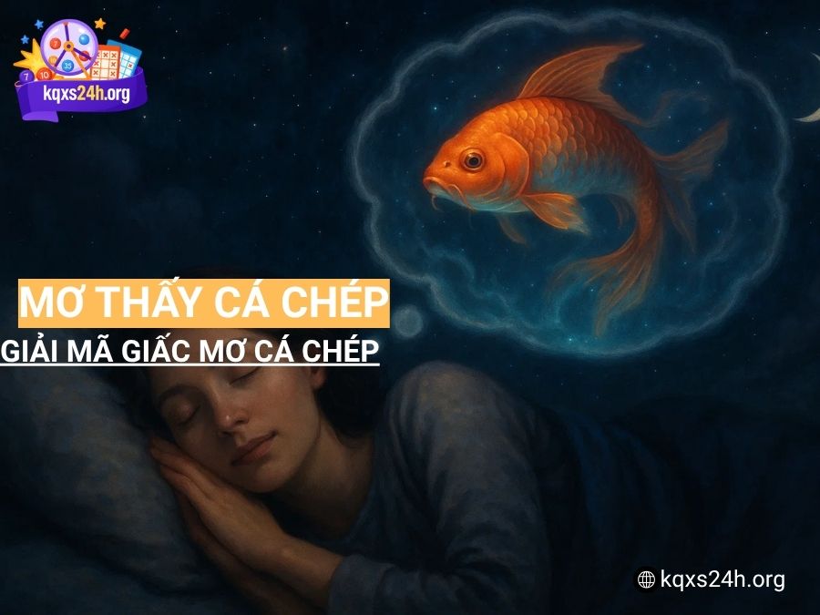 Giải mã giấc mơ thấy cá chép – Gợi ý con số may mắn