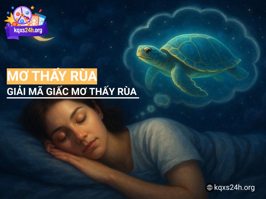 Mơ thấy rùa có điềm gì? Giải mã giấc mơ & Gợi ý con số may mắn