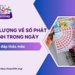 Số lượng vé số phát hành trong ngày